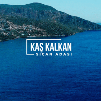 Sıçan Adası Arazi